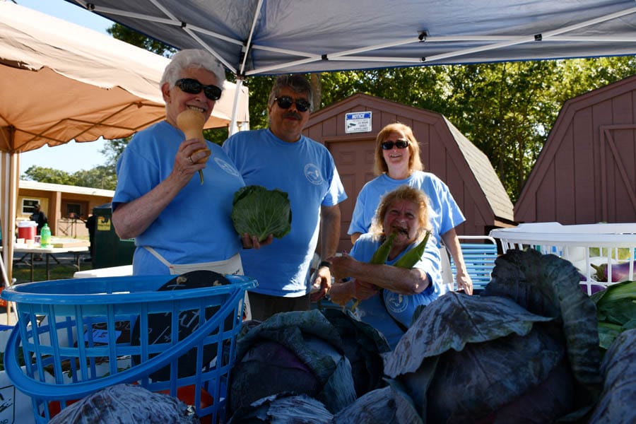 12th annual Harvest Festival