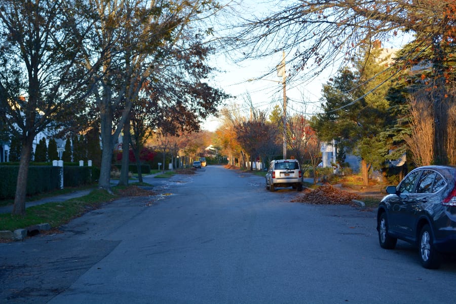 DSC_0298
