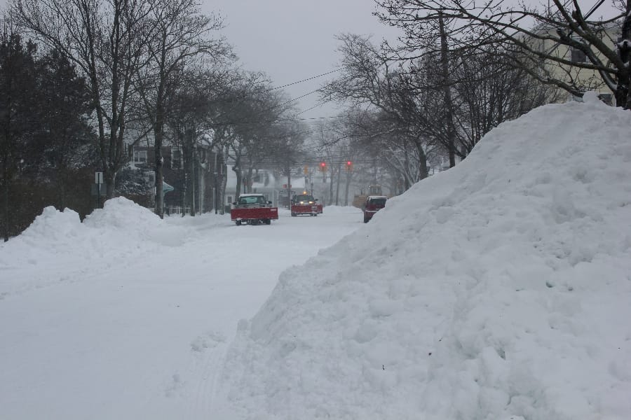 Thomas Schultz photo