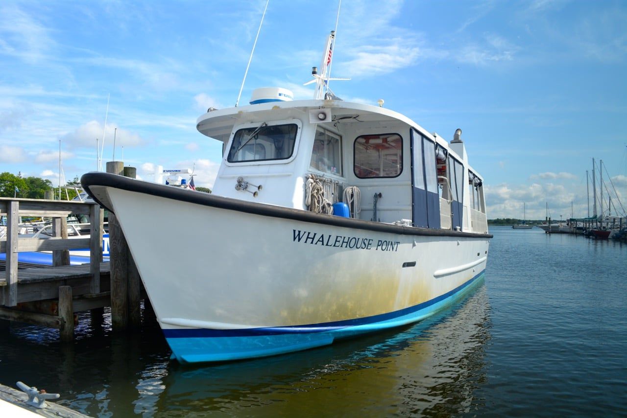 News | Bellport may work with inlet researchers on Fire Island trips