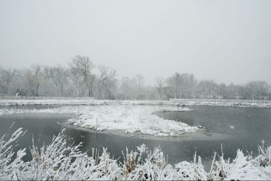 Photos & Time Lapse | Patchogue's first-ever Breakfast Crawl