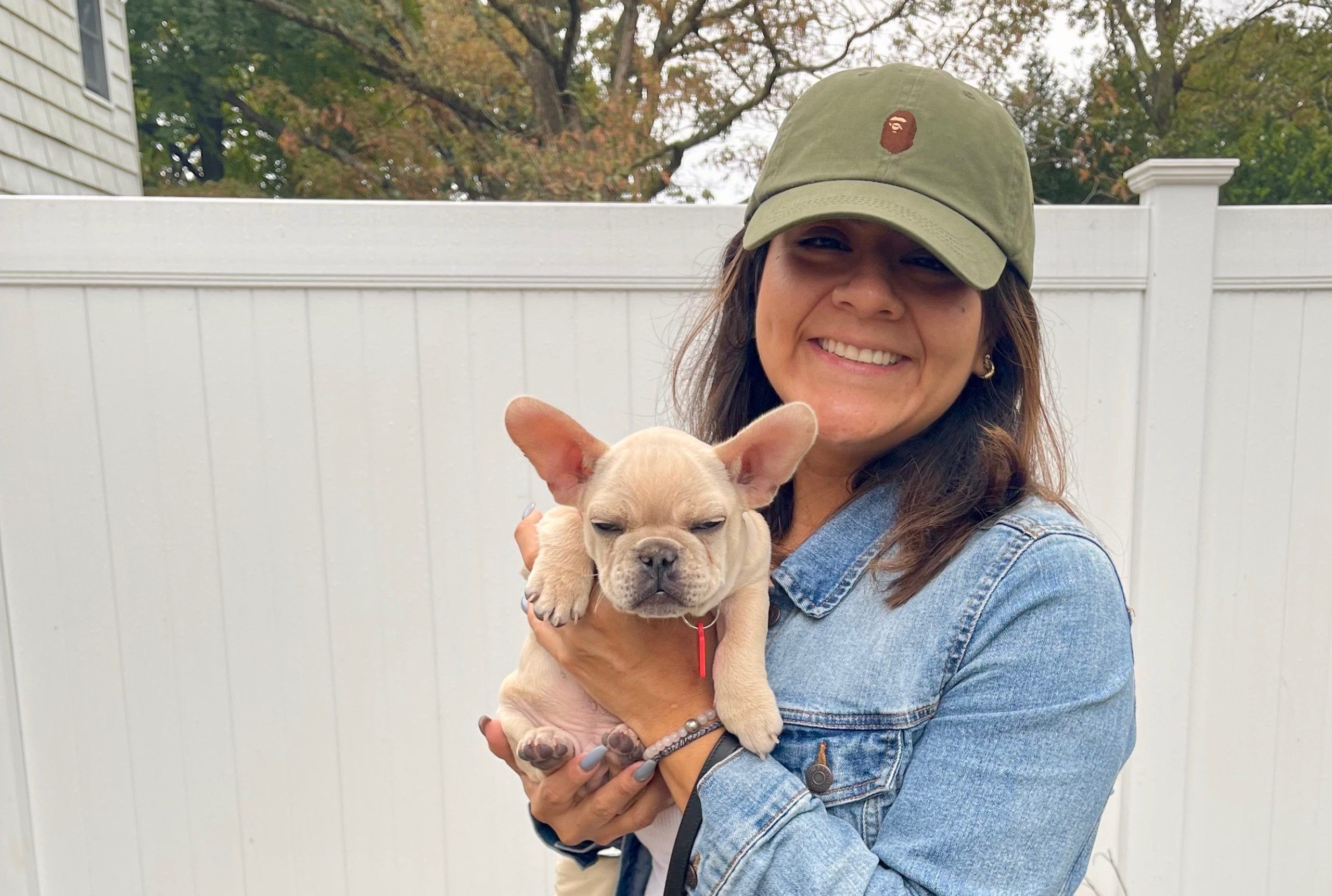 Zushi missing Long Island French bulldog