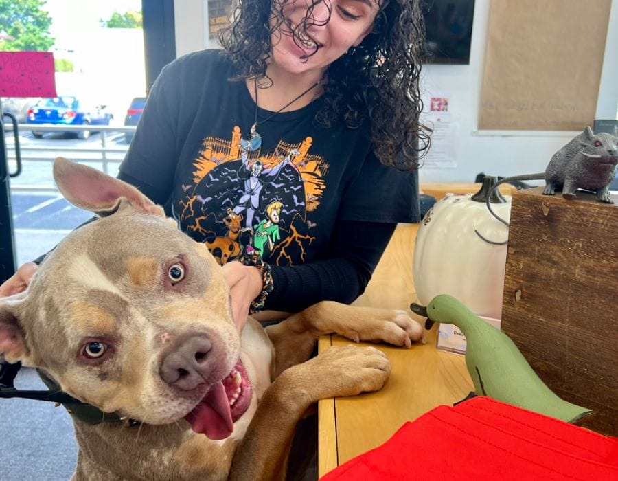 Freedom after barreling toward one of his favorite K9 Shop associates, Danielle Silipo. (Credit: Michael White/Greater Long Island)
