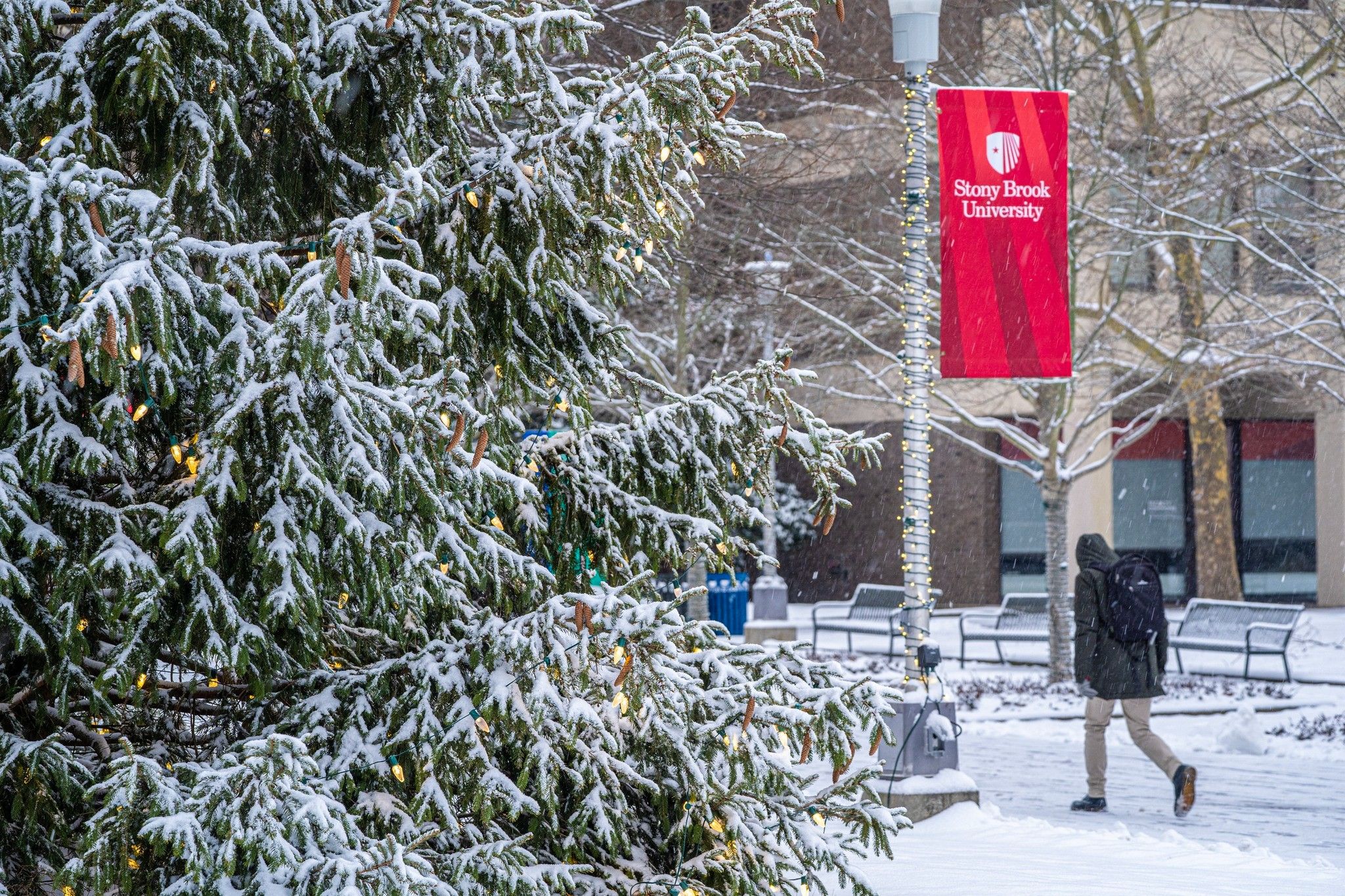 Snowy day on campus.