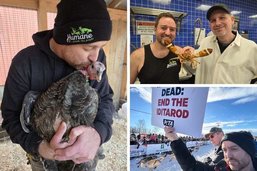 ohn Di Leonardo with an animals saved from exploitation or neglect.