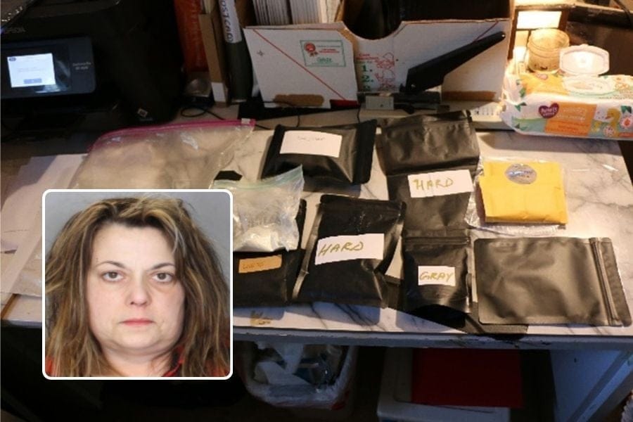 Carolyn Tolin pleads guilty to running a drug operation out of her Centereach garage.