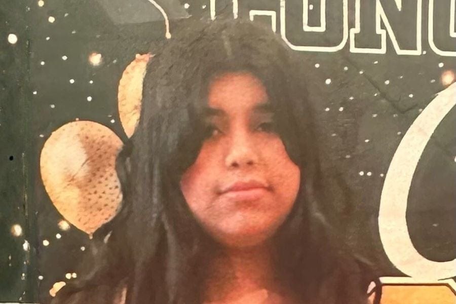 14-year-old girl missing since Christmas Day in Elmont.