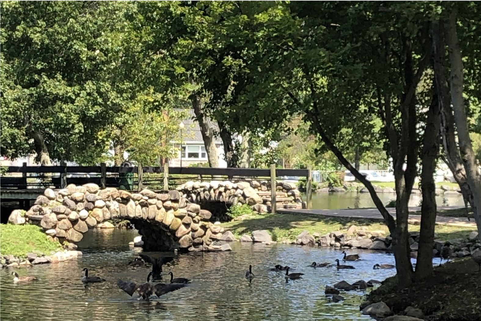 Sitting by the water in Heckscher Park in Huntington.