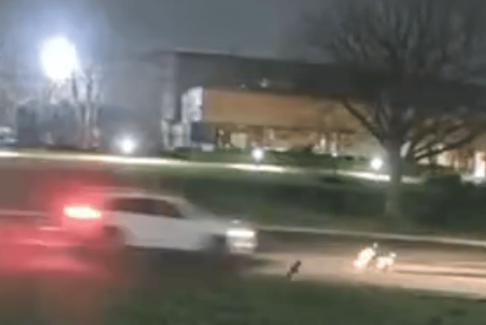 Video still of geese strike on Wireless Boulevard.