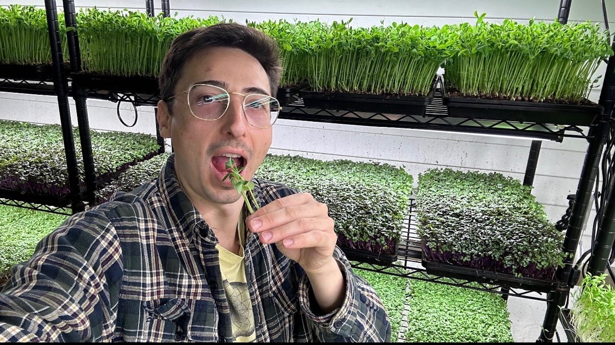 The owner of Lillo Farm in Huntington expands microgreens, adds baked goods.