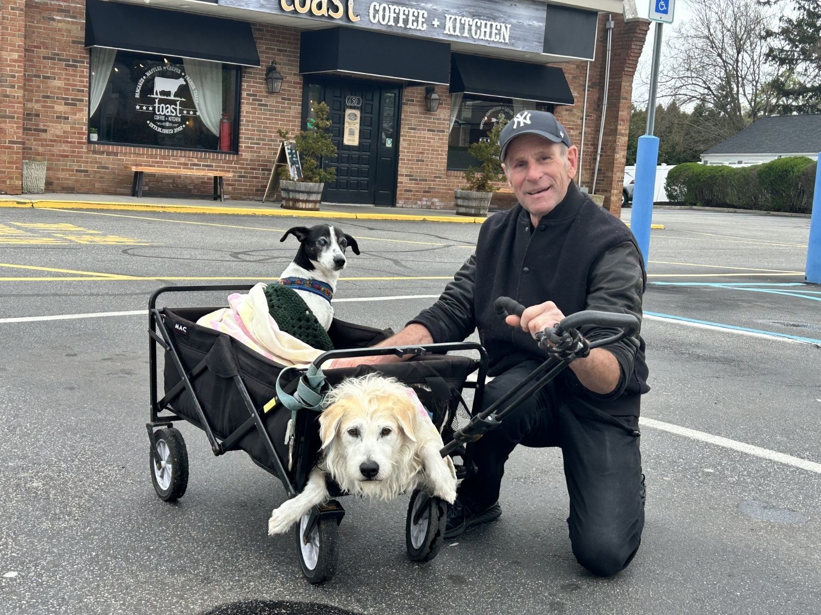 Mike DiGeranimo and the two paralyzed rescue dogs he takes on walks every day.