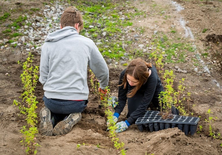 Pollinator Garden at Great Patchogue Lake