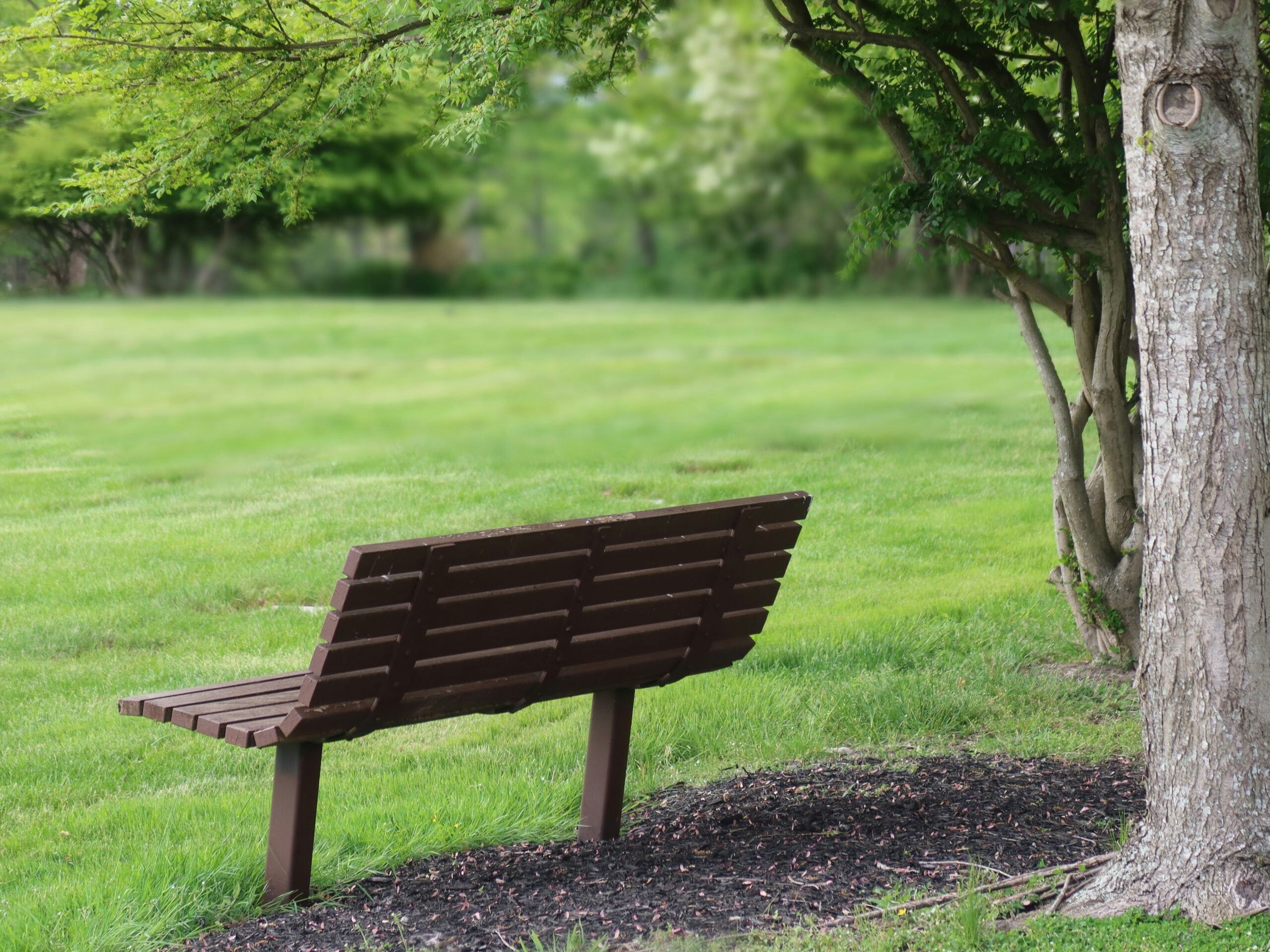 stock photo of empty bench from unsplash