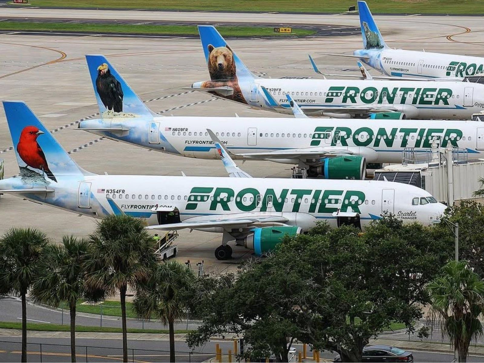 Frontier planes lined up in tropical destination airport.