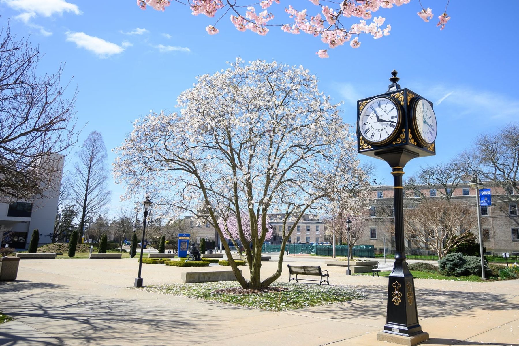 Hofstra University campus - faculty strike looms without labor agreement.