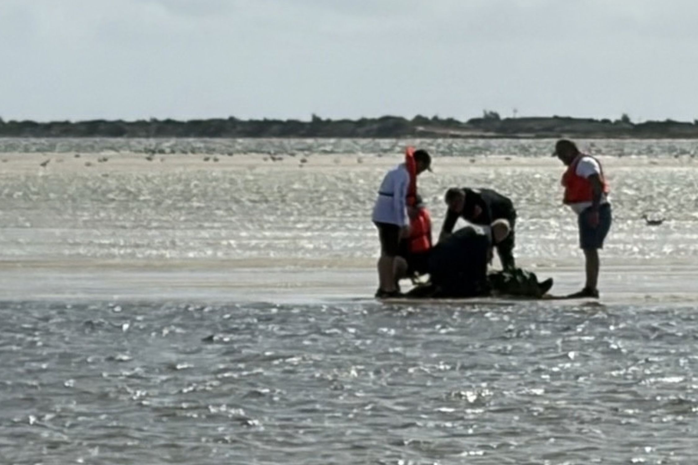 Shirley man rescued by cops when his waders get full of water.