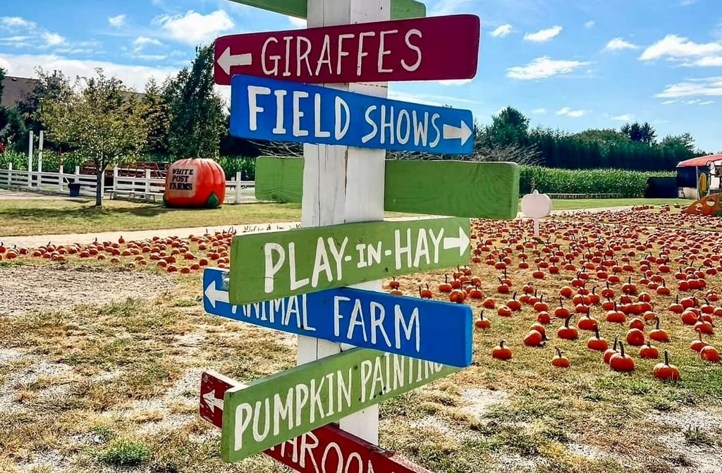 Here's how to spend a whopping 15 hours in Melville, of all places