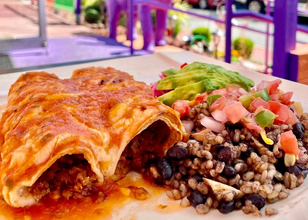 We set out to find Long Island's best vegan dishes. It wasn't easy