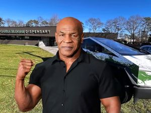 Mike Tyson super-imposed on image of Canna Blooms in Farmingville.