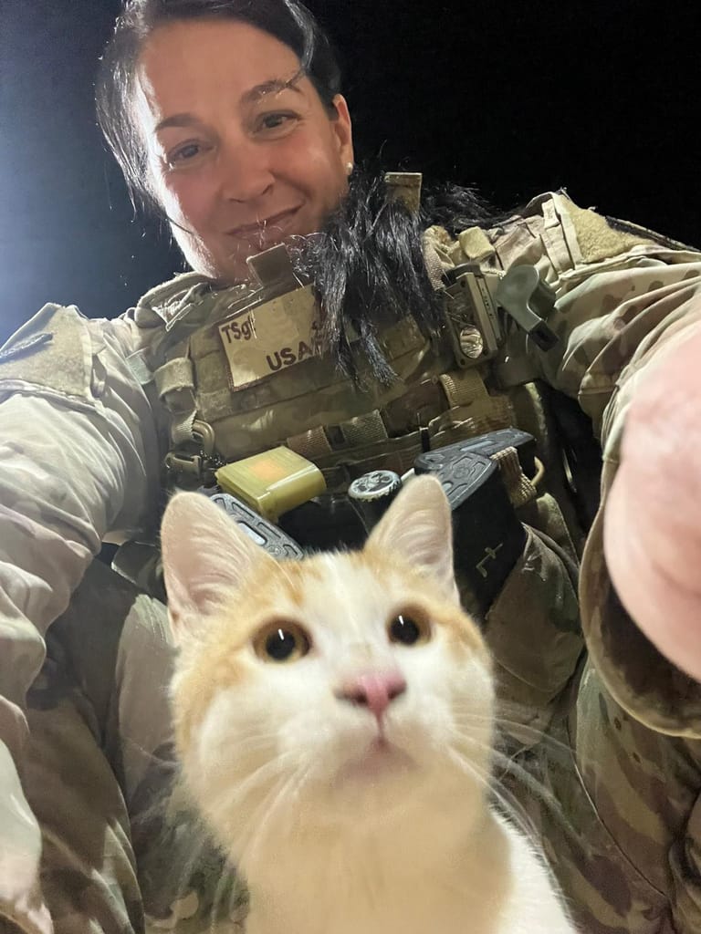 Paws of War in Nesconset flies military cat 'Walter' to LI from(02)