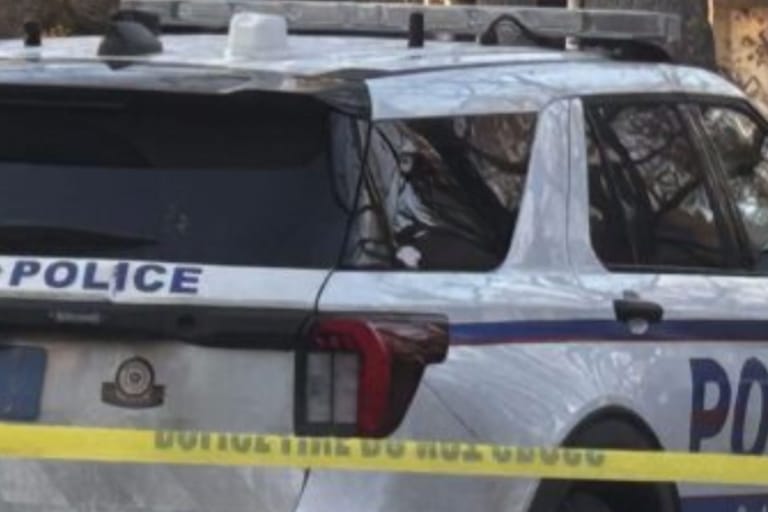 Teen arrested for DWI after Holbrook wreck injures passenger. Suffolk Police car in file photo.