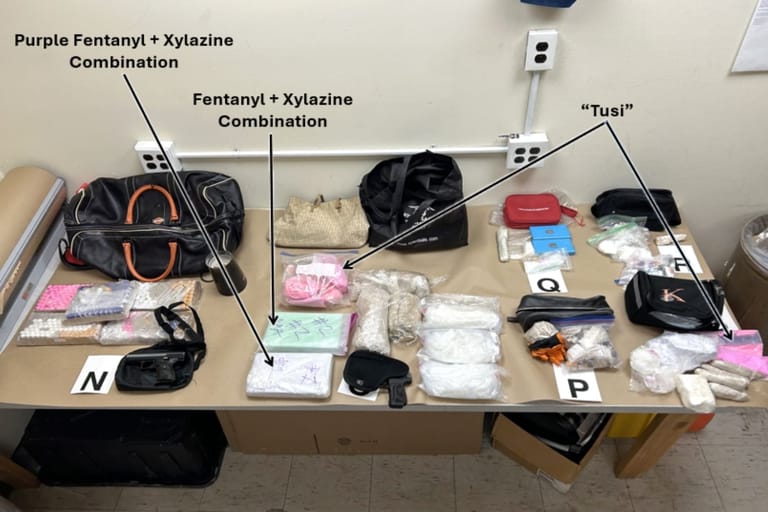 Cops find enough fentanyl inside Selden man's rental home to kill 2.2 million