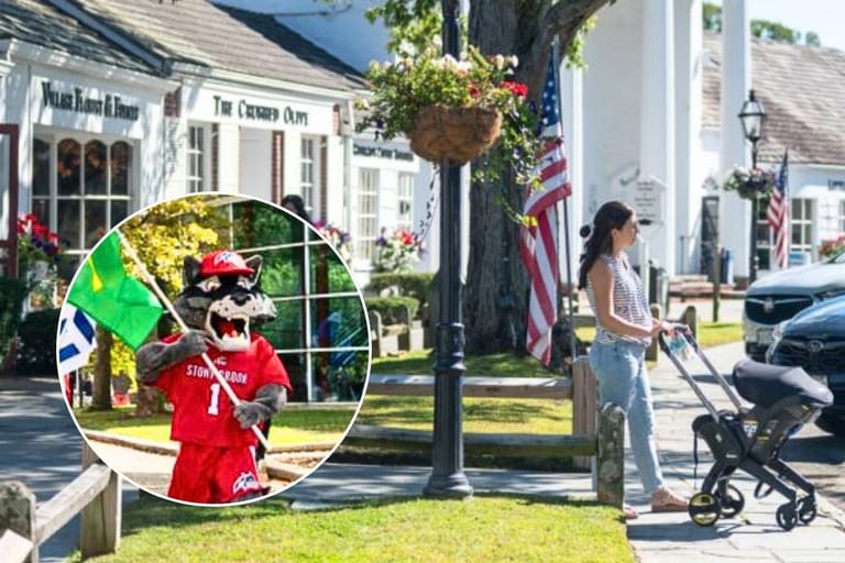 Stony Brook village and Seawolf