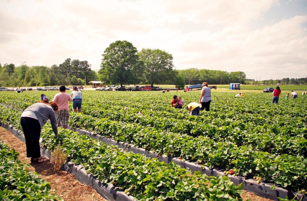 Long Island farm stands to visit right here on the South Shore Page 2