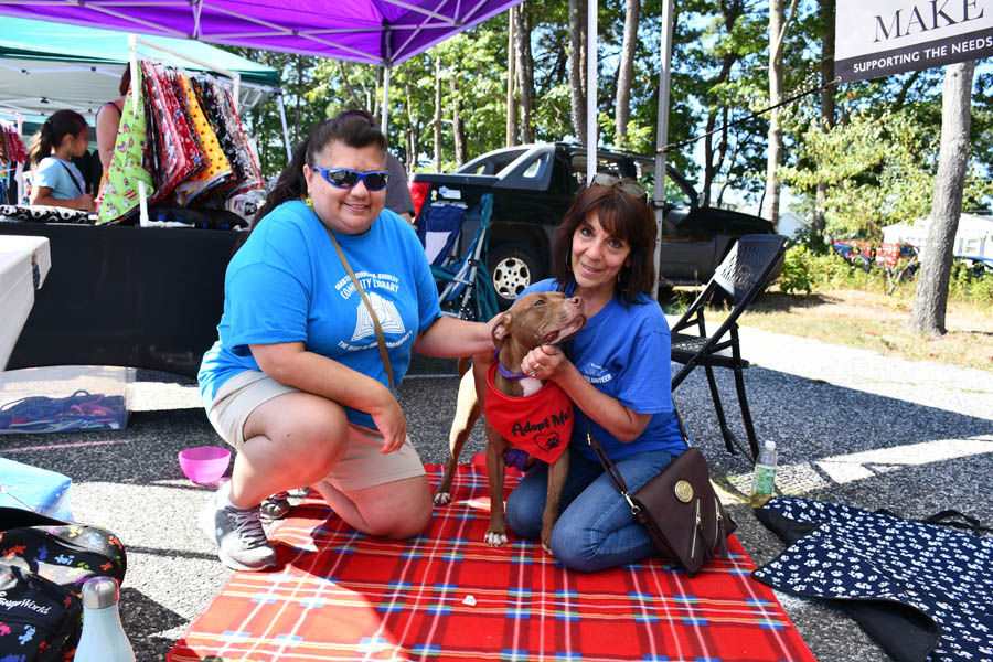 12th annual Harvest Festival