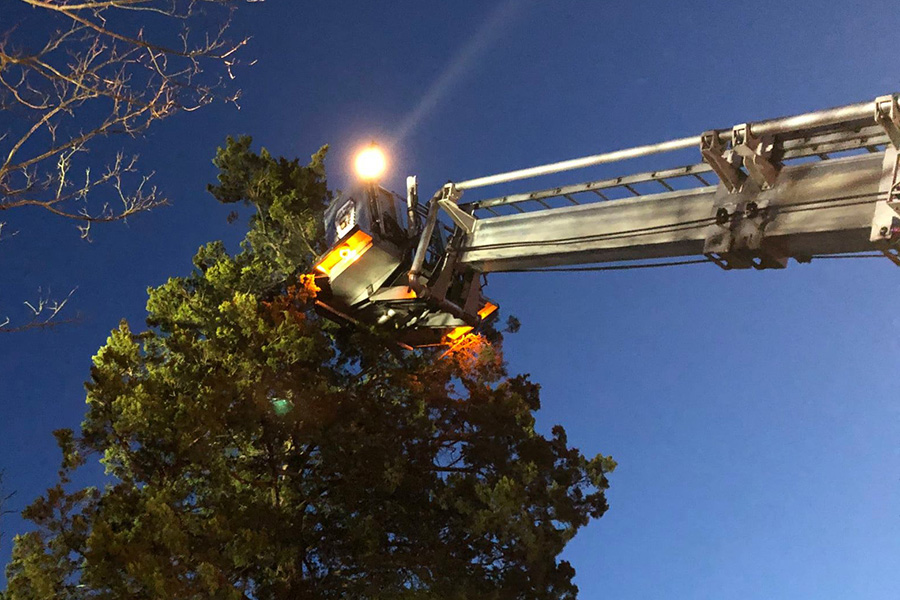 Center Moriches fire rescues boy in tree