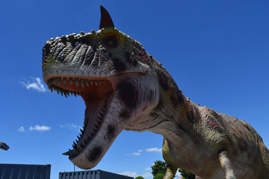 Photos Check Out The New Dinosaur Experience In Deer Park