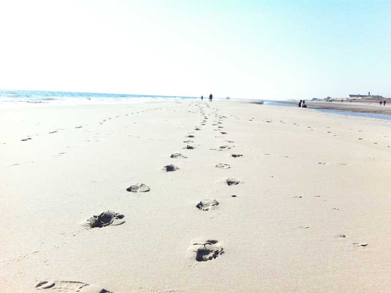 Smith Point County Park the day after superstorm Sandy hit in 2012