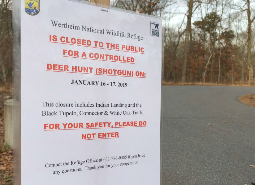 Wertheim deer hunting sign
