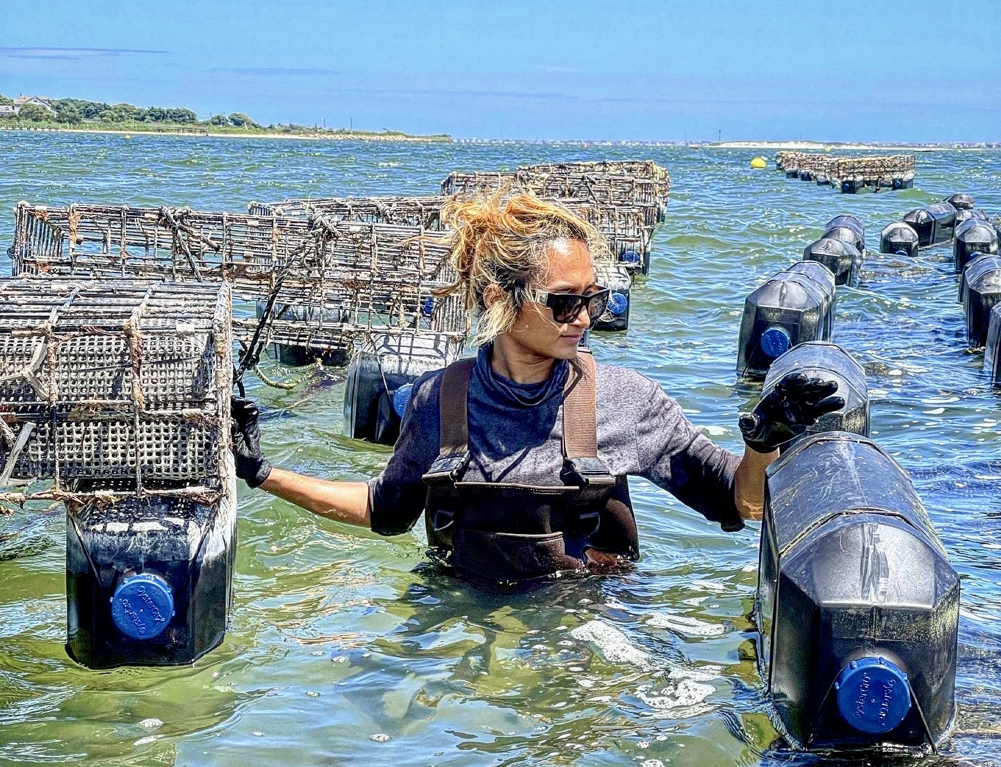 Long Island Oyster Week 2024 happens October 14 -20.