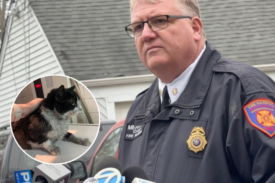 At least 100 cats die in fire that razed Medford sanctuary, killing its ...