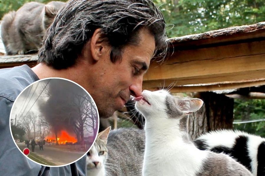 Long Island's Happy Cat Sanctuary tragedy capturing the world's attention