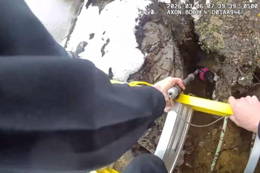 Video: Shirley dog saved from collapsed cesspool by police and firefighters