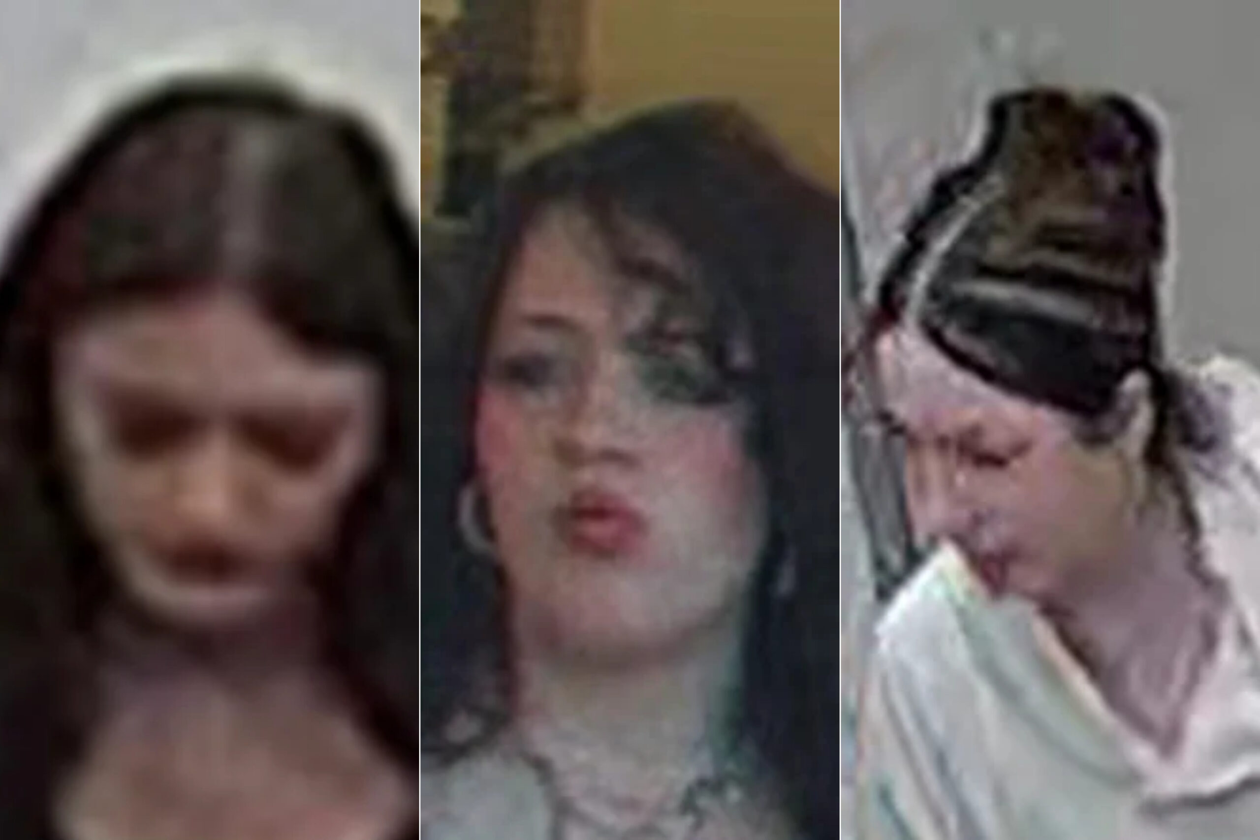 Police seek 3 women in Miller Place Marshalls theft